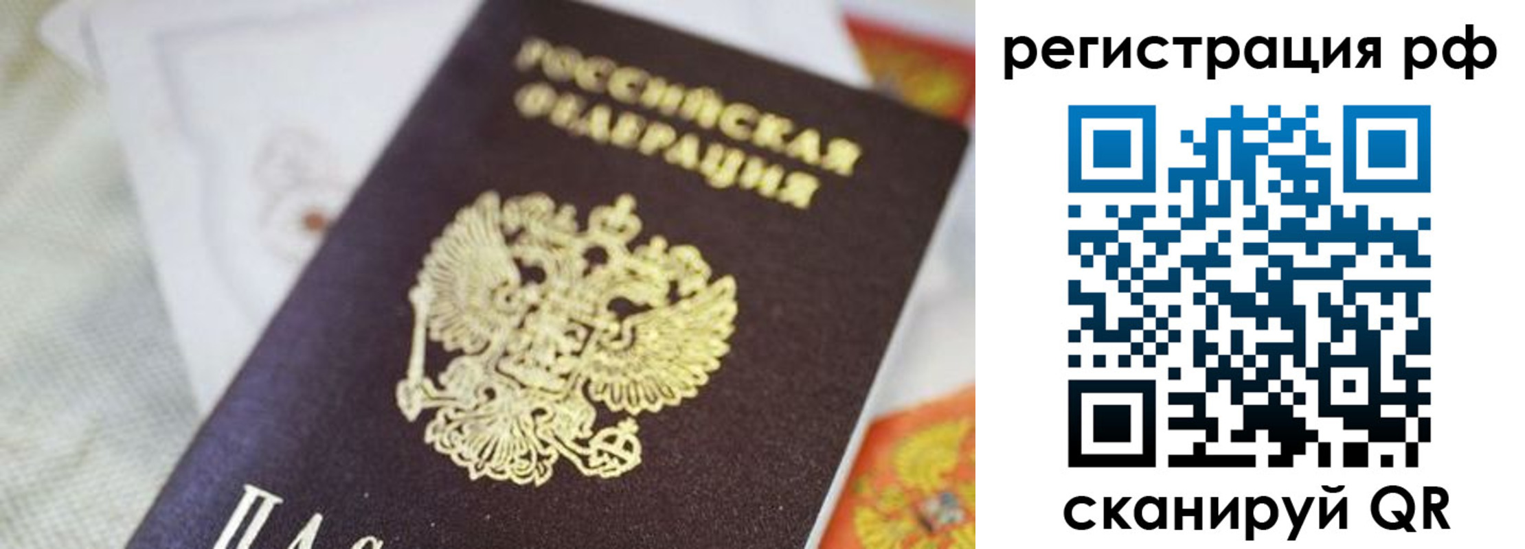 прописка гарантия в Хвалынске